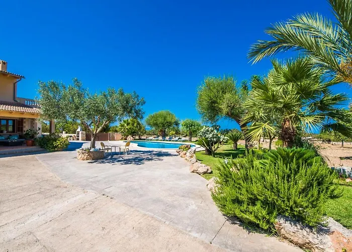 Ideal Property Mallorca - Vernissa