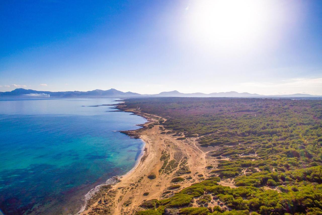 Ideal Mallorca - Vernissa Santa Margalida