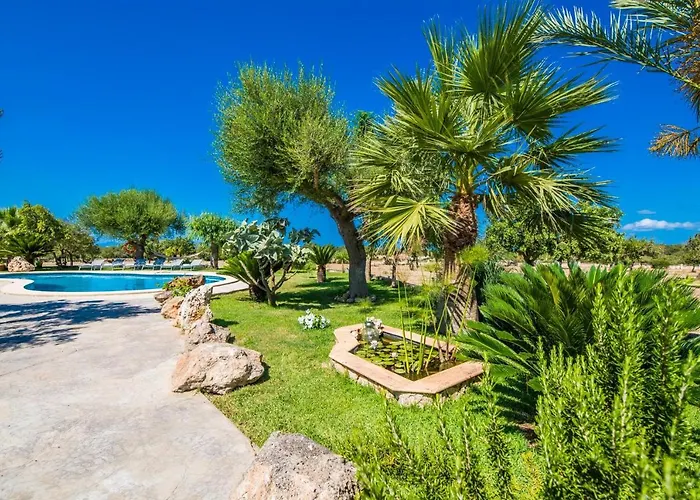 Ideal Property Mallorca - Vernissa