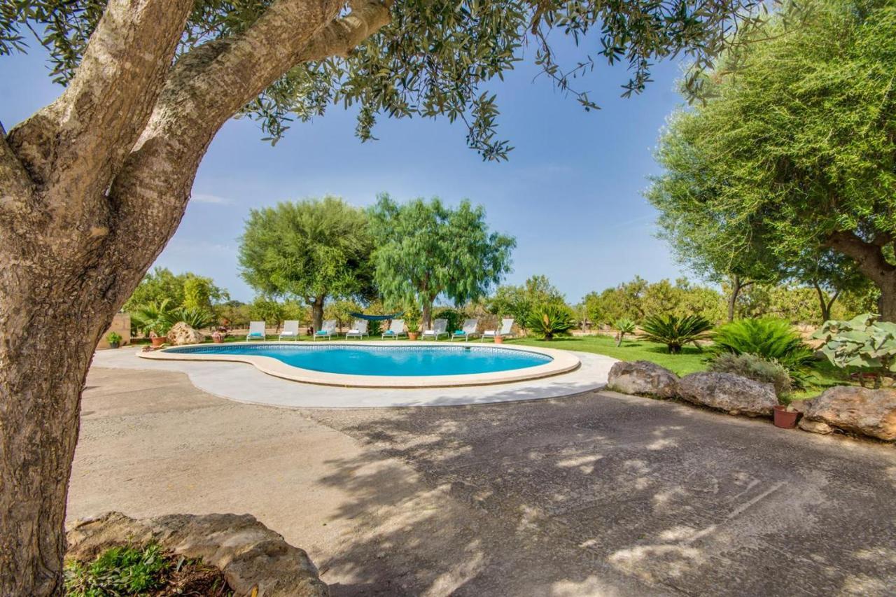 Ideal Mallorca - Vernissa Country house