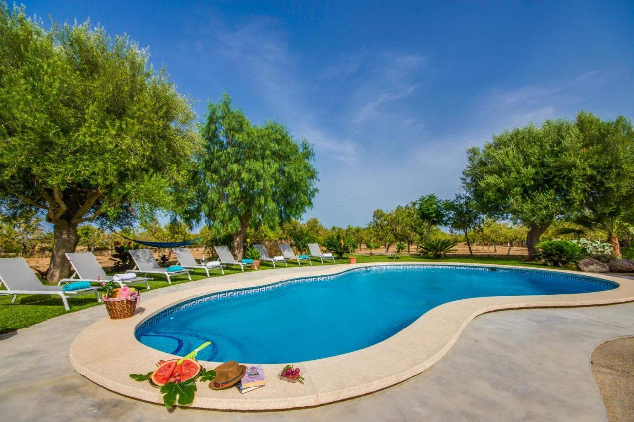 Country house Ideal Mallorca - Vernissa